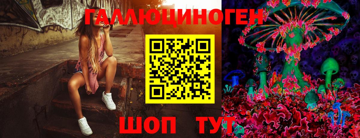 Пермь  Галлюциногенные грибы мицелий  Вход с VPN  Псилоцибиновые грибы Psilocybe 